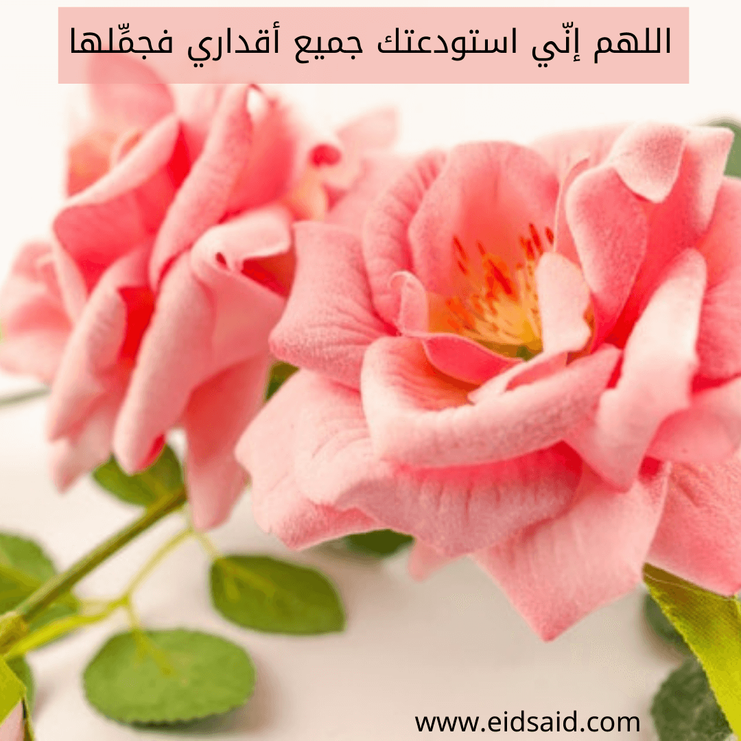 Read more about the article إهداء دعاء – اللهم إنّي استودعتك جميع أقداري فجمِّلها – eidsaid.com – عيد سعيد