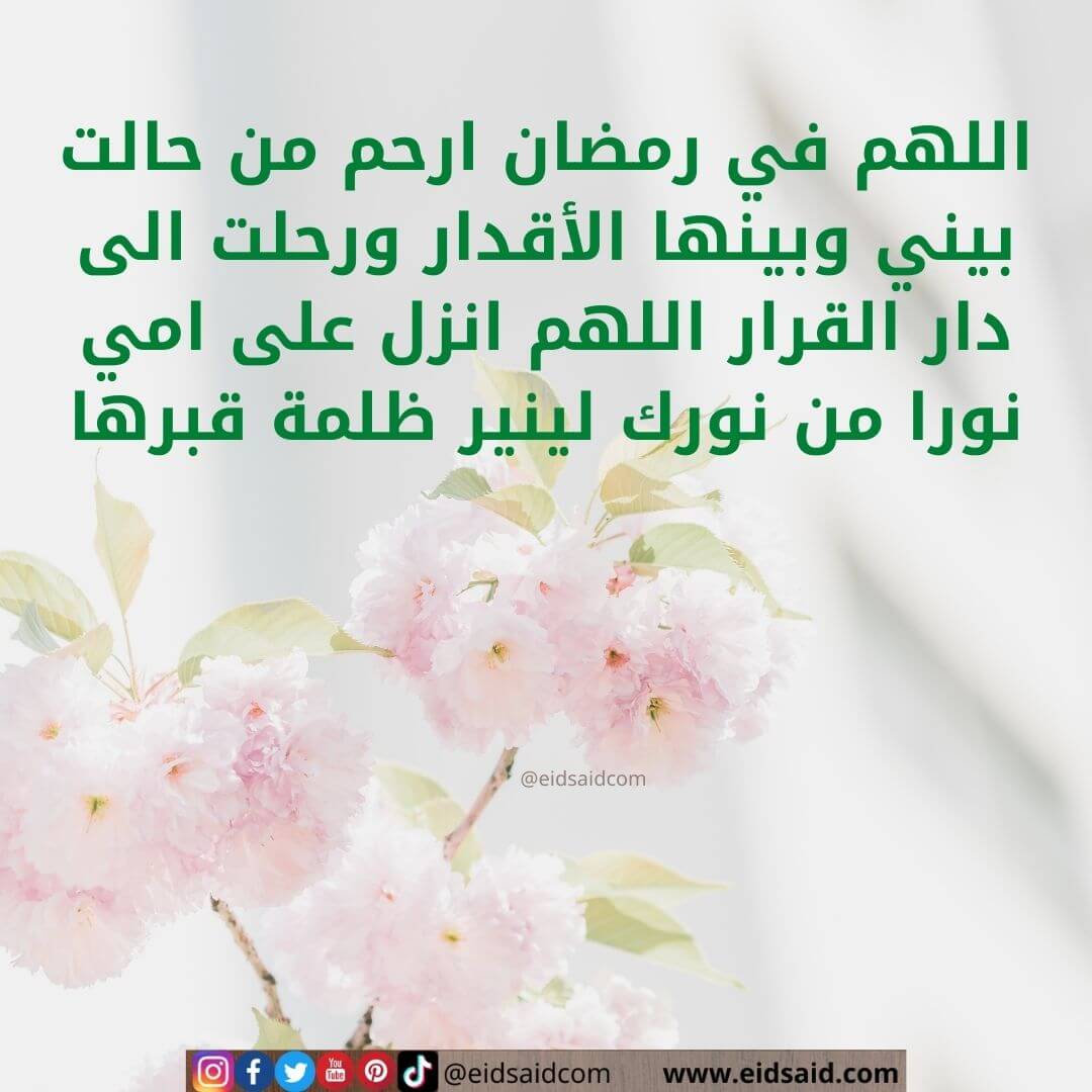 Read more about the article اللهم في رمضان ارحم من حالت بيني وبينها الأقدار ورحلت الى دار القرار اللهم انزل على امي نورا من نورك لينير ظلمة قبرها